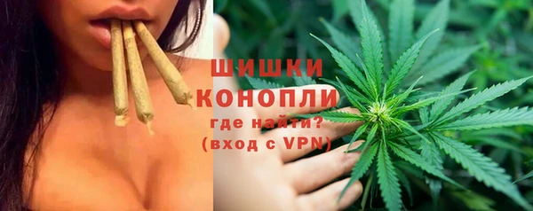 соль ск Кукмор
