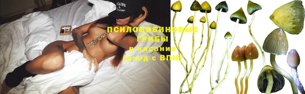 герыч Куйбышев