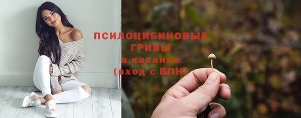 2c-b Краснотурьинск