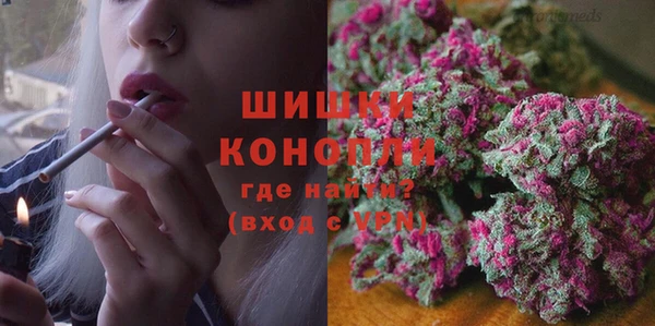 соль ск Кукмор